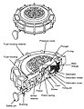 Blast mine - Italian VS-MK2 (poprečni presek)