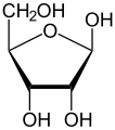 Estructura química de la ribosa.