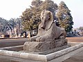 Sphinx