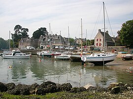 The harbour