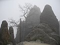 Formations rocheuses le long de la Needles Highway.