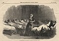 Hình ảnh của Nightingale trên The Illustrated London News, ngày 24 tháng 2 năm 1855