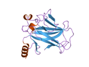 2bip: HUMAN P53 CORE DOMAIN MUTANT M133L-H168R-V203A-N239Y-R249S-N268D