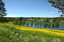 Norra delen av Tvärålund i juni 2012