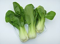 Shanghai Pak Choi – leicht grünlicher