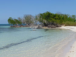 Cayo Jutías, part of the municipality and of the Colorados Archipelago