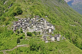 Corippo