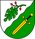 Brasão de Großholbach