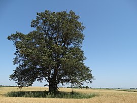 alternativní popis obrázku chybí