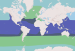 Pilot whale range