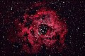 Rosette Nebula