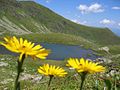 Oberer Lindersee