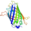 GFP:n rakenne