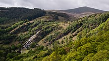 A thin stream of waterfall down a green hill. There's a tree on left side of the photo.