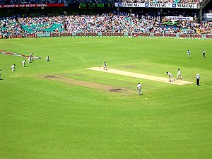 A professional cricket match