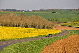 Printemps près de Logny-Bogny dans le nord-ouest.