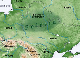 Le bassin polésien, aujourd'hui en Biélorussie, Pologne et Ukraine, incluant en partie les régions historiques de Podlachie et de Volhynie.