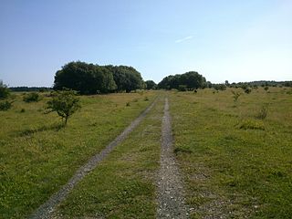 Stiftungsland (Südteil) nahe dem Flugplatz Schäferhaus