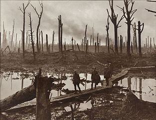 Chateau Wood, Ypres, 1917 by Frank Hurley