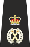 UK Police Chief Constable Epaulette