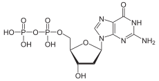 Structuurformule van desoxyguanosinedifosfaat