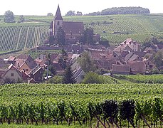 Hunawihr and its vineyards.