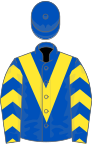 Royal blue, yellow chevron and chevrons on sleeves, royal blue cap