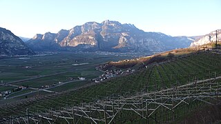 Vallée de l'Adige, Piana Rotaliana.