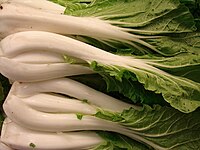 Pak Choi – weiße Blattrippen und -stiele