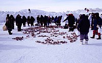 A group of people in winter clothing, standing around piles of meat lying on the snow.