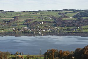 Baldeggersee, Gäuflige und s Schloss Heidegg