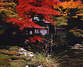 Bahçe, Kyoto, Japonya