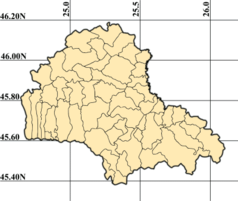 Mapa konturowa okręgu Braszów, na dole znajduje się punkt z opisem „Zamek w Branie”