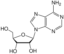 Structuurformule van adenosine