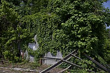 Bryant's Grocery (2018). By 2018, the store was described as "not much left" and given owner's demands, no preservation occurred.[243]