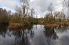 Felmersham Gravel Pits