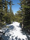 Flattop Mountain Trail