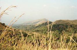 Mont Nimba