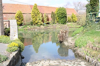 La mare-abreuvoir.