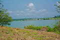 Bank of Oguta Lake showing farmland and vegetation.