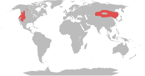 Description de l'image Range map cervus canadensis.svg.