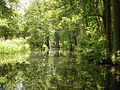 Spreewald