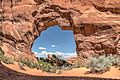 Pine Tree Arch