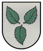 Wapen vun Elm