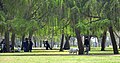 Yarkon park wide view