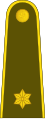 Leitenantas (Lithuanian Land Forces)[48]