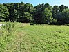 Geldeston Meadows