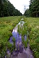 Grūda giriose, nuo senojo Musteikos–Margionių kelio tilto