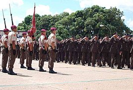 Graduación de Sargentos