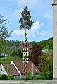 Maibaum 2024 Albstadt-Laufen